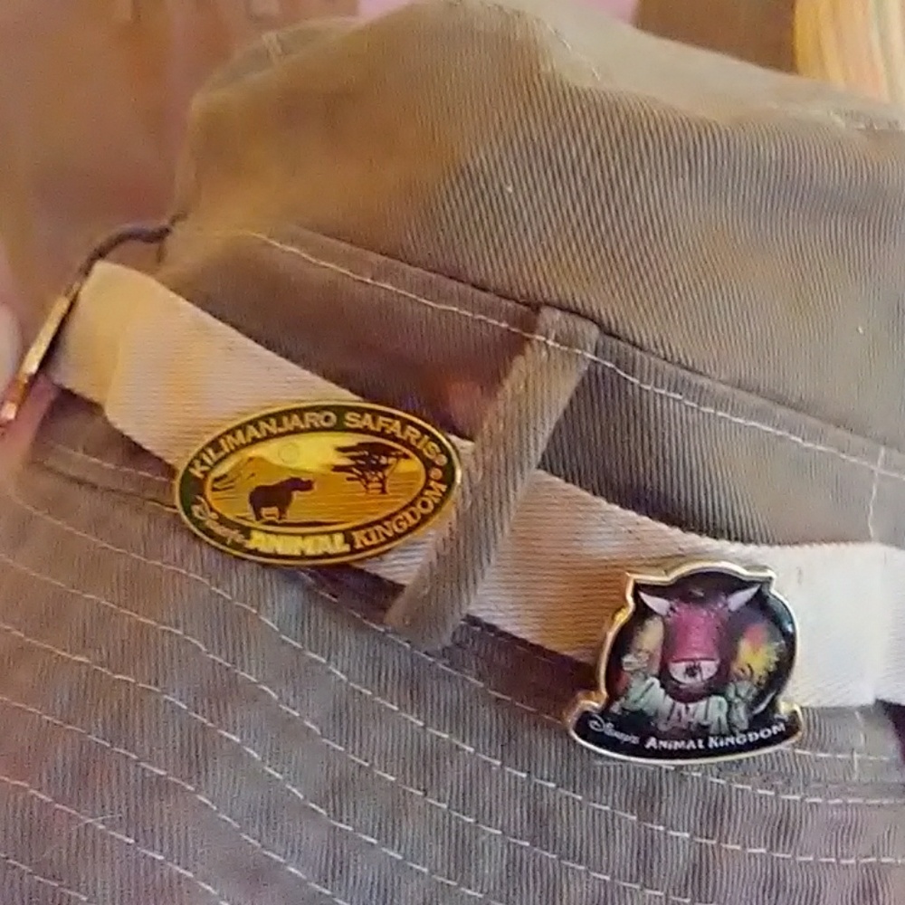 DISNEY PARKS HAT/COLLECTIBLE PINS - Picture 8 of 8